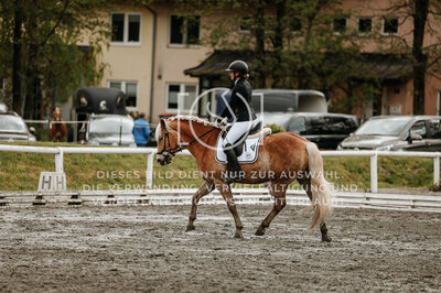 © Niki Buchegger, turnier-fotos.at