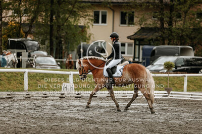 © Niki Buchegger, turnier-fotos.at