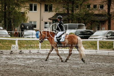 © Niki Buchegger, turnier-fotos.at