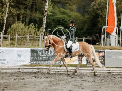 © Niki Buchegger, turnier-fotos.at