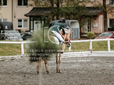 © Niki Buchegger, turnier-fotos.at