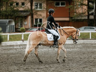 © Niki Buchegger, turnier-fotos.at