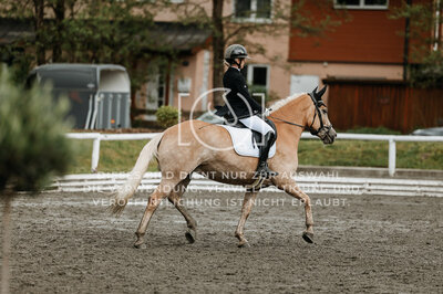 © Niki Buchegger, turnier-fotos.at