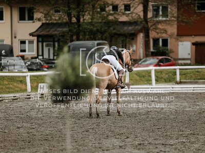© Niki Buchegger, turnier-fotos.at