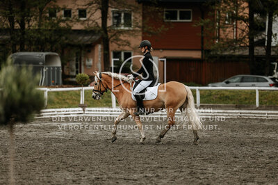 © Niki Buchegger, turnier-fotos.at