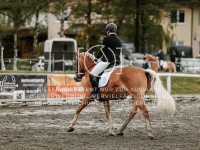 © Niki Buchegger, turnier-fotos.at