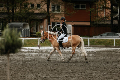 © Niki Buchegger, turnier-fotos.at