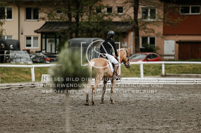 © Niki Buchegger, turnier-fotos.at