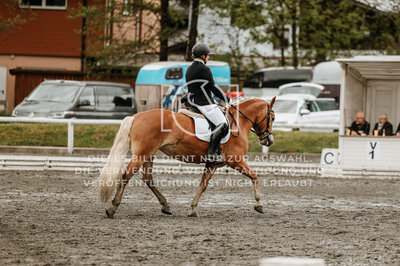 © Niki Buchegger, turnier-fotos.at
