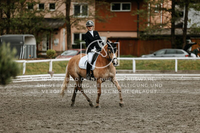 © Niki Buchegger, turnier-fotos.at