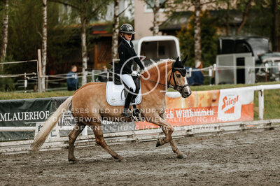 © Niki Buchegger, turnier-fotos.at