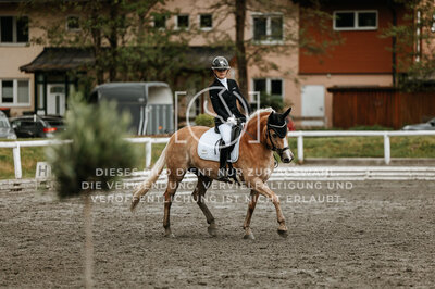 © Niki Buchegger, turnier-fotos.at