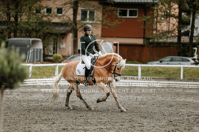 © Niki Buchegger, turnier-fotos.at
