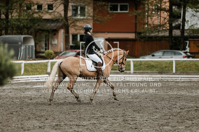 © Niki Buchegger, turnier-fotos.at