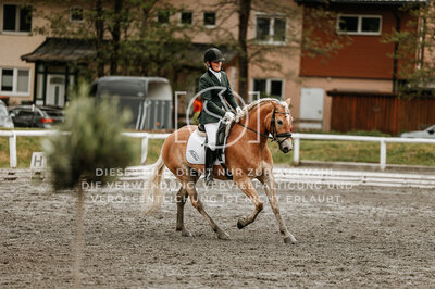 © Niki Buchegger, turnier-fotos.at