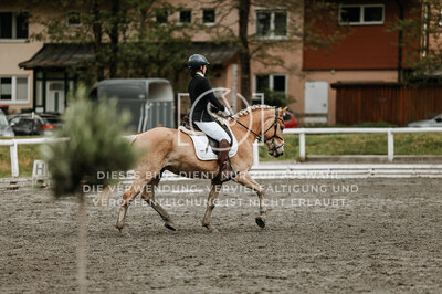 © Niki Buchegger, turnier-fotos.at