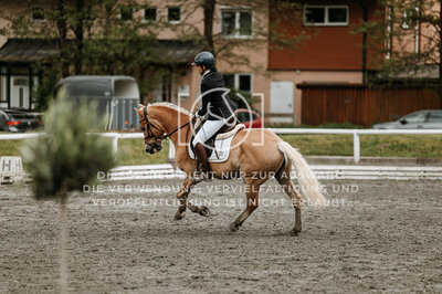 © Niki Buchegger, turnier-fotos.at