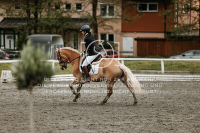 © Niki Buchegger, turnier-fotos.at