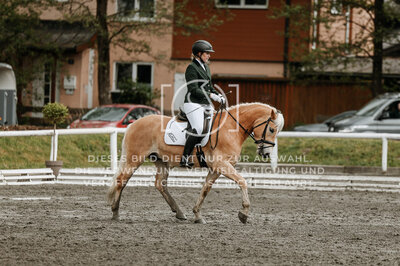 © Niki Buchegger, turnier-fotos.at