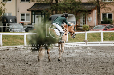 © Niki Buchegger, turnier-fotos.at