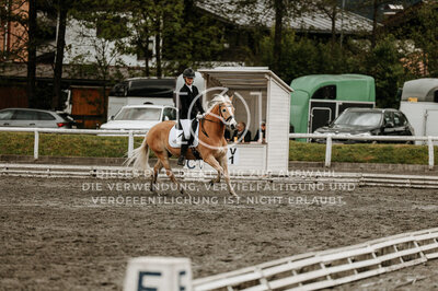 © Niki Buchegger, turnier-fotos.at