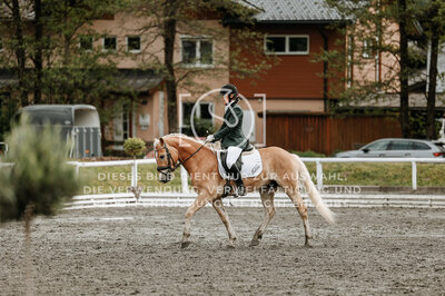© Niki Buchegger, turnier-fotos.at