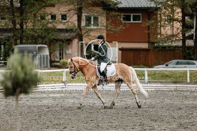 © Niki Buchegger, turnier-fotos.at