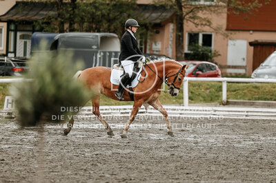 © Niki Buchegger, turnier-fotos.at