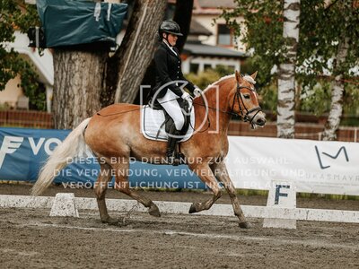 © Niki Buchegger, turnier-fotos.at