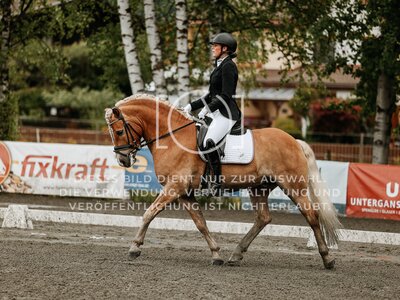 © Niki Buchegger, turnier-fotos.at