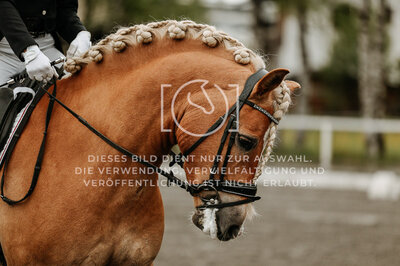 © Niki Buchegger, turnier-fotos.at