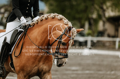 © Niki Buchegger, turnier-fotos.at