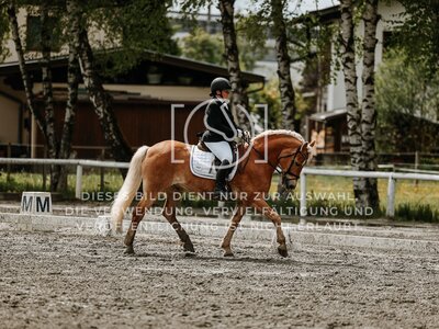 © Niki Buchegger, turnier-fotos.at