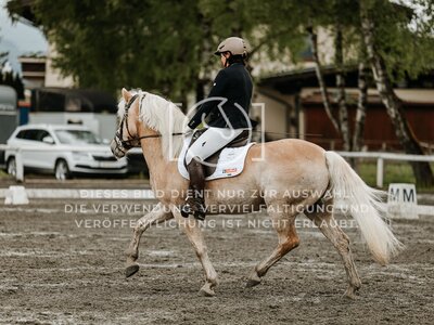 © Niki Buchegger, turnier-fotos.at