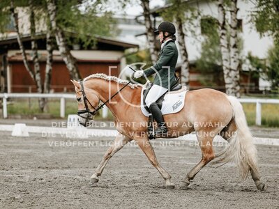 © Niki Buchegger, turnier-fotos.at