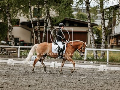 © Niki Buchegger, turnier-fotos.at