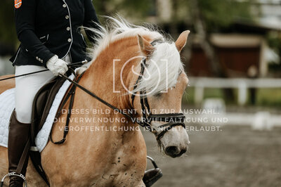 © Niki Buchegger, turnier-fotos.at