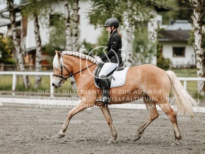 © Niki Buchegger, turnier-fotos.at