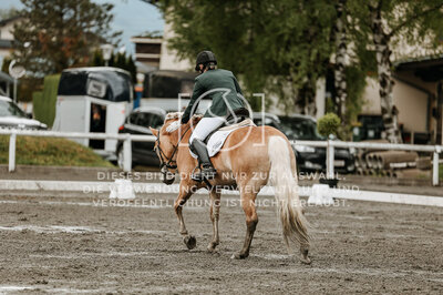 © Niki Buchegger, turnier-fotos.at