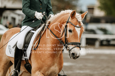 © Niki Buchegger, turnier-fotos.at