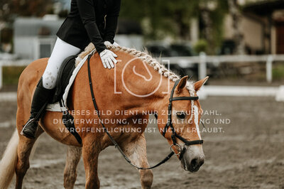 © Niki Buchegger, turnier-fotos.at