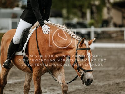 © Niki Buchegger, turnier-fotos.at