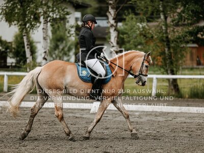 © Niki Buchegger, turnier-fotos.at