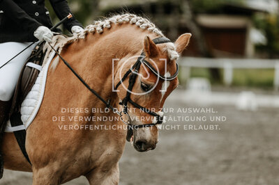 © Niki Buchegger, turnier-fotos.at