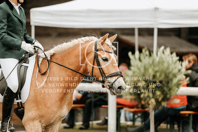 © Niki Buchegger, turnier-fotos.at