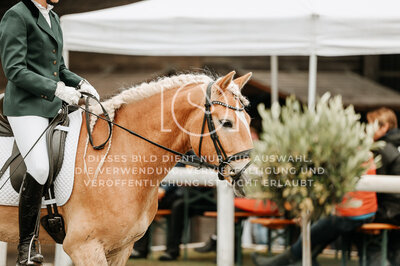 © Niki Buchegger, turnier-fotos.at
