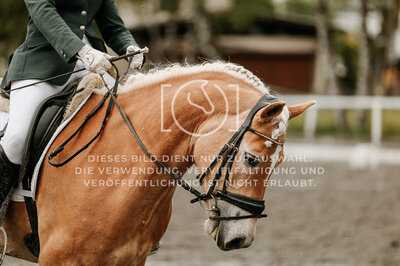 © Niki Buchegger, turnier-fotos.at