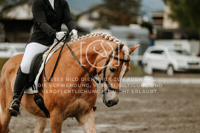 © Niki Buchegger, turnier-fotos.at