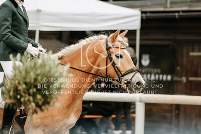 © Niki Buchegger, turnier-fotos.at