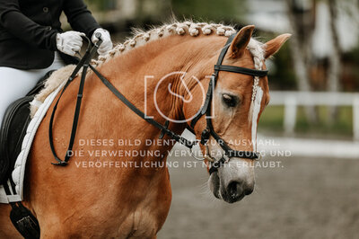 © Niki Buchegger, turnier-fotos.at